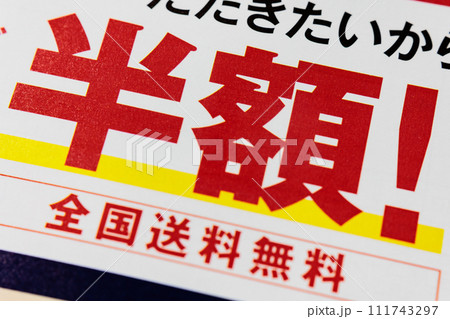 チラシ 「半額!全国送料無料」 チラシ 「半額!全国送料無料」 111743297