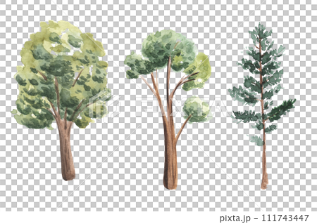 Watercolor hand drawn set of trees illustration side view isolated on white background for landscape architecture drawing, elements for environment garden, painting botanical. oak, conifer, pine tree 111743447