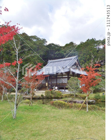 京田辺 大御堂観音寺の紅葉 京田辺 大御堂観音寺の紅葉 111743513