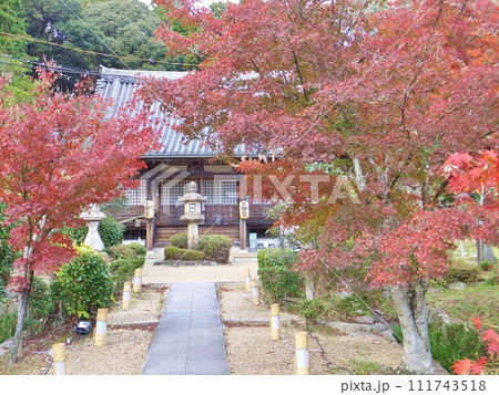 京田辺 大御堂観音寺の紅葉 京田辺 大御堂観音寺の紅葉 111743518
