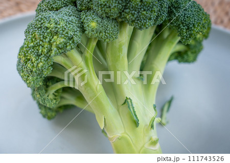 ブロッコリー ブロッコリー 111743526