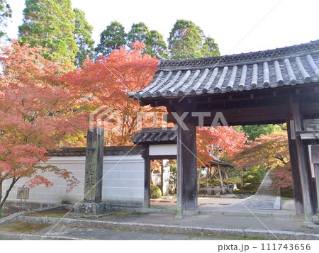 一休寺 秋の紅葉 一休寺 秋の紅葉 111743656
