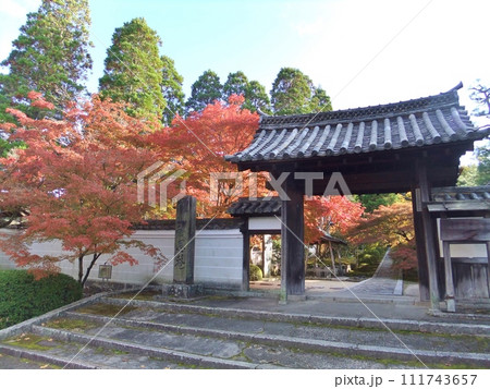 一休寺 秋の紅葉 一休寺 秋の紅葉 111743657