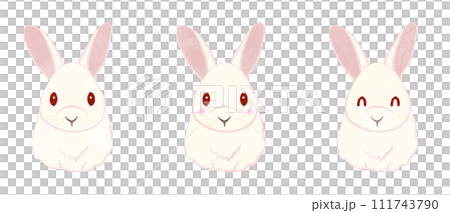 Cute white rabbit illustration set 02 Cute white rabbit illustration set 02 111743790
