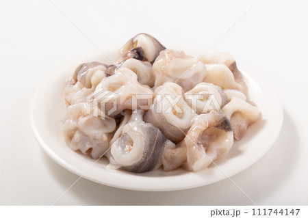 イカの軟骨 111744147