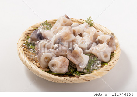 イカの軟骨 111744159