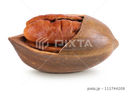 broken pecan nut isolated on white background with full depth of field broken pecan nut isolated on white background with full depth of field 111744209