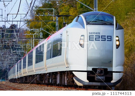 新生E259系の旅路: 特急成田エクスプレス 新生E259系の旅路: 特急成田エクスプレス 111744313