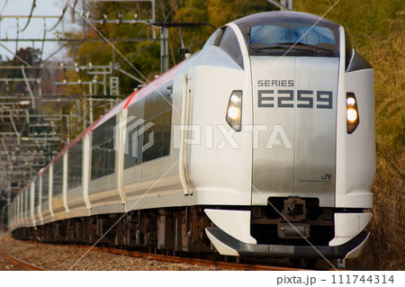 リニューアルしたE259系 新生・成田エクスプレス リニューアルしたE259系 新生・成田エクスプレス 111744314