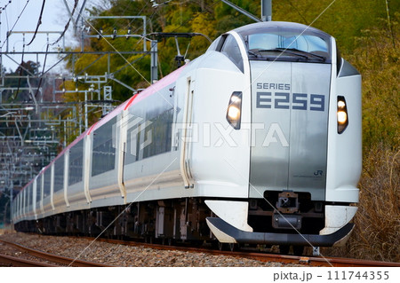 新生E259系　特急成田エクスプレスの編成写真 111744355