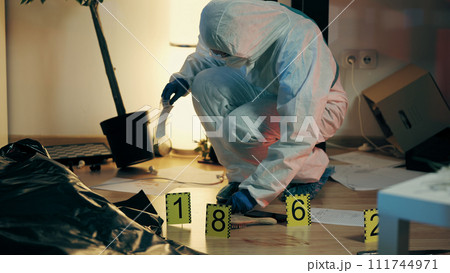 An attentive worker from the forensic laboratory is collecting evidence while examining the crime scene An attentive worker from the forensic laboratory is collecting evidence while examining the crime scene 111744971