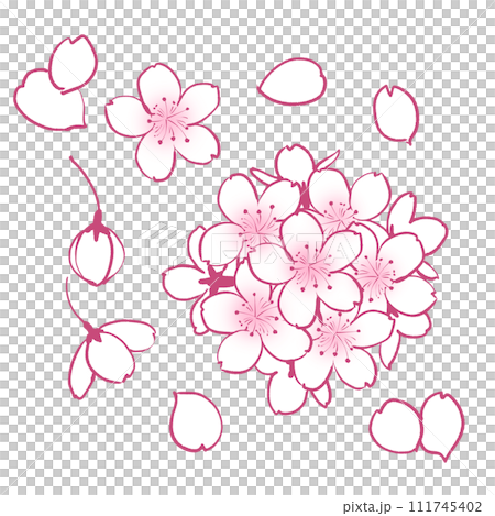 Hand-drawn simple cherry blossom illustration Hand-drawn simple cherry blossom illustration 111745402