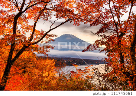 Mt. Fuji, Japan from Yamanaka Lake in Autumn Mt. Fuji, Japan from Yamanaka Lake in Autumn 111745661