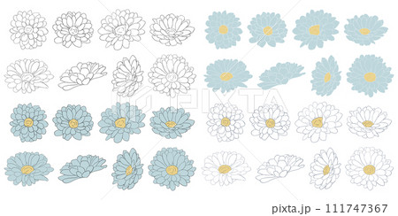 シンプルな青と白の花のイラスト 111747367