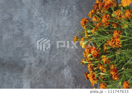 Summer greeting card concept 111747633