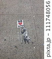 バンクシー　NY　米国 111748056