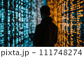 Back view of a person in silhouette against a large screen displaying complex data patterns, symbolizing analysis and technology. 111748274