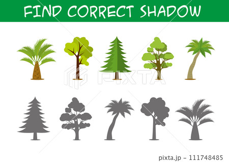 Kids game with trees,find correct shadows, 111748485