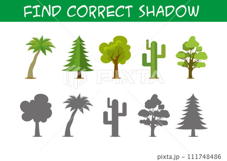 Kids game with trees,find correct shadows, Kids game with trees,find correct shadows, 111748486