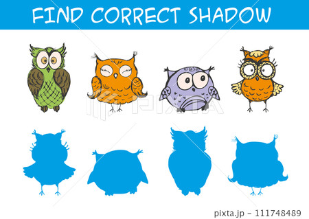 Kids game with owls,find correct shadows,template page, 111748489