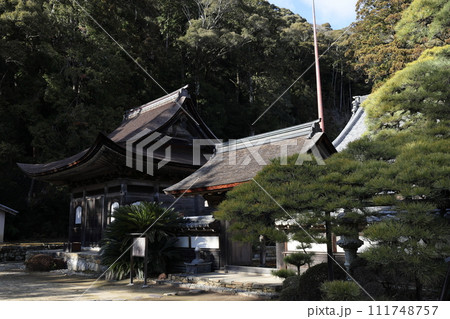 天恩寺 徳川家康公ゆかりの寺 天恩寺 徳川家康公ゆかりの寺 111748757