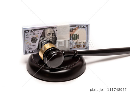Gavel and Money Concept for Financial Legal Issues. 111748955
