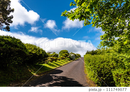 Landscape in Furnas, Sao Miguel island in the Azores Landscape in Furnas, Sao Miguel island in the Azores 111749077