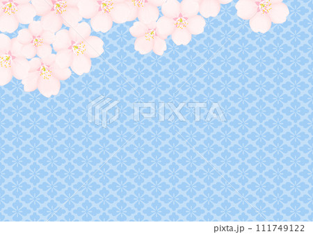 桜の花 111749122
