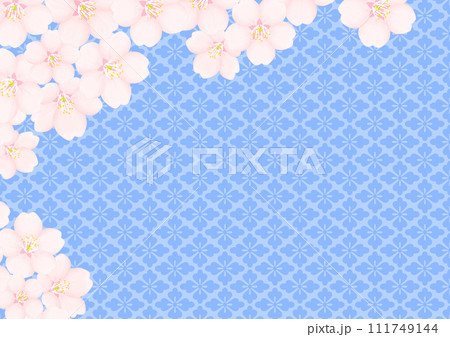 桜の花 桜の花 111749144