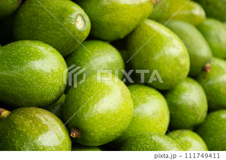 fresh avocado on market as background. Local food. Agriculture fresh avocado on market as background. Local food. Agriculture 111749411