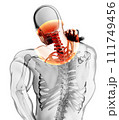 Neck painful - cervical spine skeleton x-ray, 3D illustration. 111749456