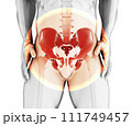 Hip painful skeleton x-ray, 3D illustration. 111749457