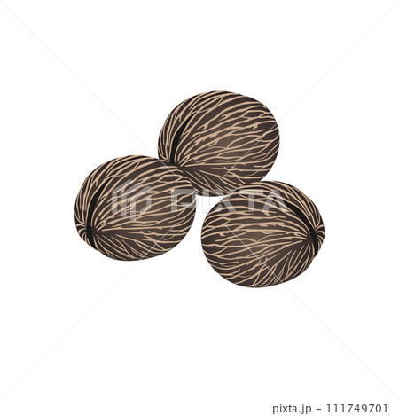 Dried suicide seeds pong pong othalanga Cerbera odollam fruit isolated on white background. 111749701