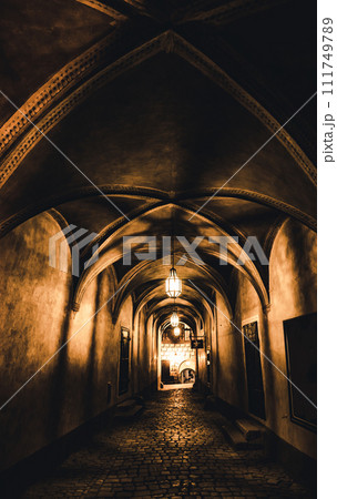 mysterious corridor in the old dungeon mysterious corridor in the old dungeon 111749789
