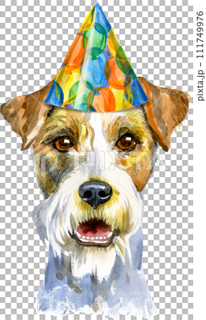 Watercolor portrait of airedale terrier dog in party hat Watercolor portrait of airedale terrier dog in party hat 111749976