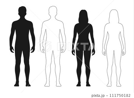 Human body silhouette, man and woman outline figure or patient front view, vector contour. Male and female anatomy model of body for medical line icon or health and medicine patient full body Human body silhouette, man and woman outline figure or patient front view, vector contour. Male and female anatomy model of body for medical line icon or health and medicine patient full body 111750182