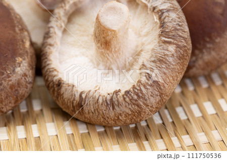 生椎茸 生椎茸 111750536