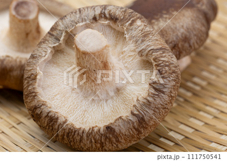 生椎茸 生椎茸 111750541