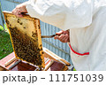 Winged bee slowly flies to beekeeper collect nectar on private apiary 111751039