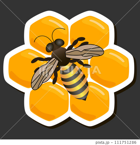 Illustration on theme for label of sugary flowing down honey in honeycomb with bee 111751286