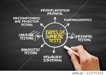 Types of genetic tests mind map text concept for presentations and reports Types of genetic tests mind map text concept for presentations and reports 111751412