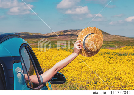 Feminine hand holding straw hat from the opened window of the car, among the yellow wild flowers. Feminine hand holding straw hat from the opened window of the car, among the yellow wild flowers. 111752040