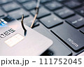 Close-up of credit card on the hook. Phishing concept 111752045