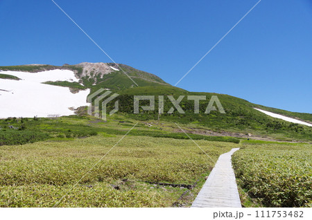 白山弥陀ヶ原と御前峰 111753482