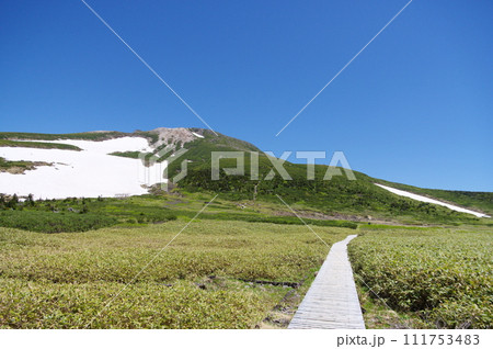 白山弥陀ヶ原と御前峰 白山弥陀ヶ原と御前峰 111753483