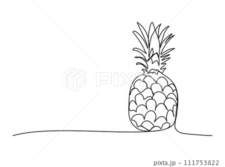 Pineapple, one line drawing vector illustration. 111753822