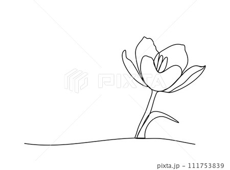 Flower, one line drawing vector illustration. 111753839