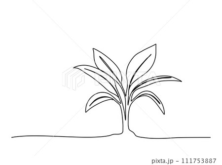 Sprout, one line drawing vector illustration. Sprout, one line drawing vector illustration. 111753887