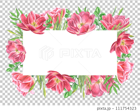 Spring flowers, leaves. Double pink tulips, daffodil buds with greenery. Horizontal frame with text space. Watercolor illustration. For invitation, greeting, mother day cards. 111754323