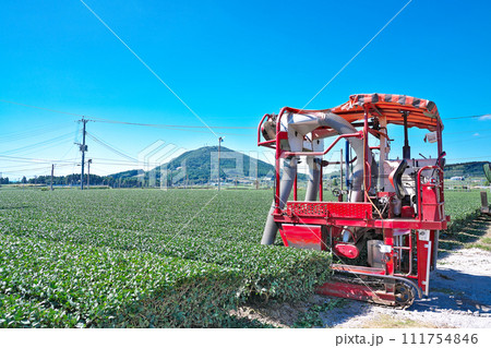 【茶畑と摘採機】 鹿児島県南九州市頴娃町郡 【茶畑と摘採機】 鹿児島県南九州市頴娃町郡 111754846